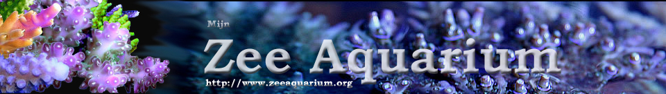 www.zeeaquarium.eu
