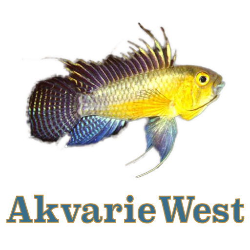 www.akvarieforretningen.dk