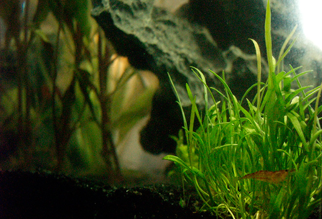 06_zpsa5f49ce9.jpg