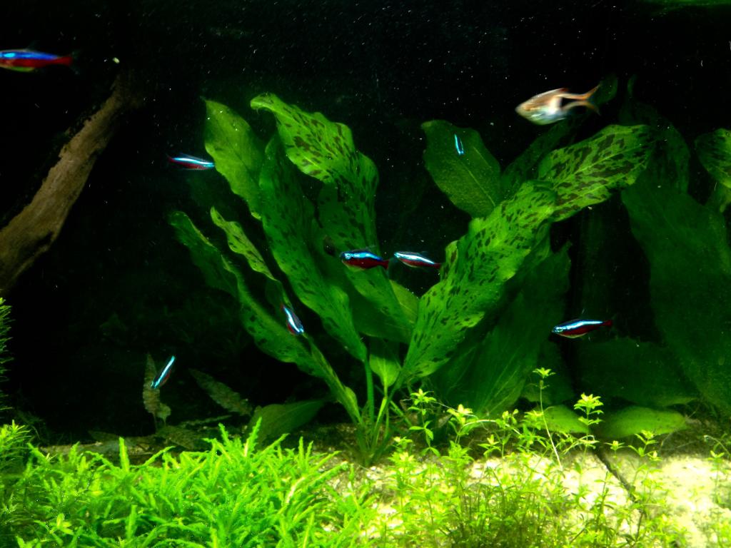 06A49AFA-BE19-4F28-86FD-17D8005E7FFB_zpsft2sbfmg.jpg