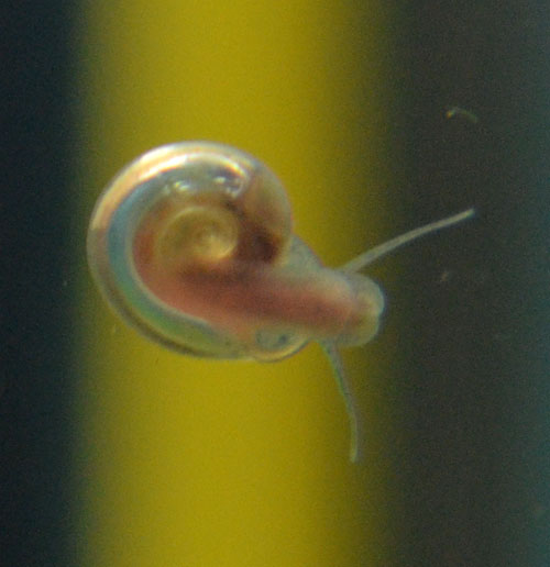 090_zpsea959ae4.jpg