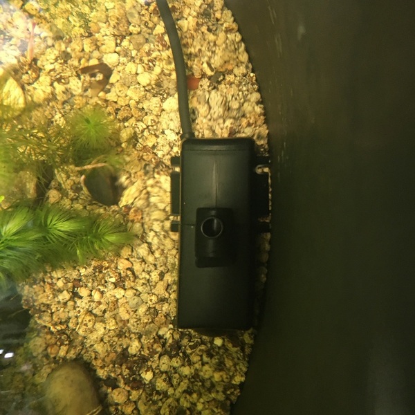 09ECD300-1810-4A9D-9D81-539EF0226F9F.jpeg