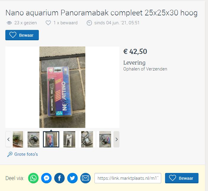 1.JPG