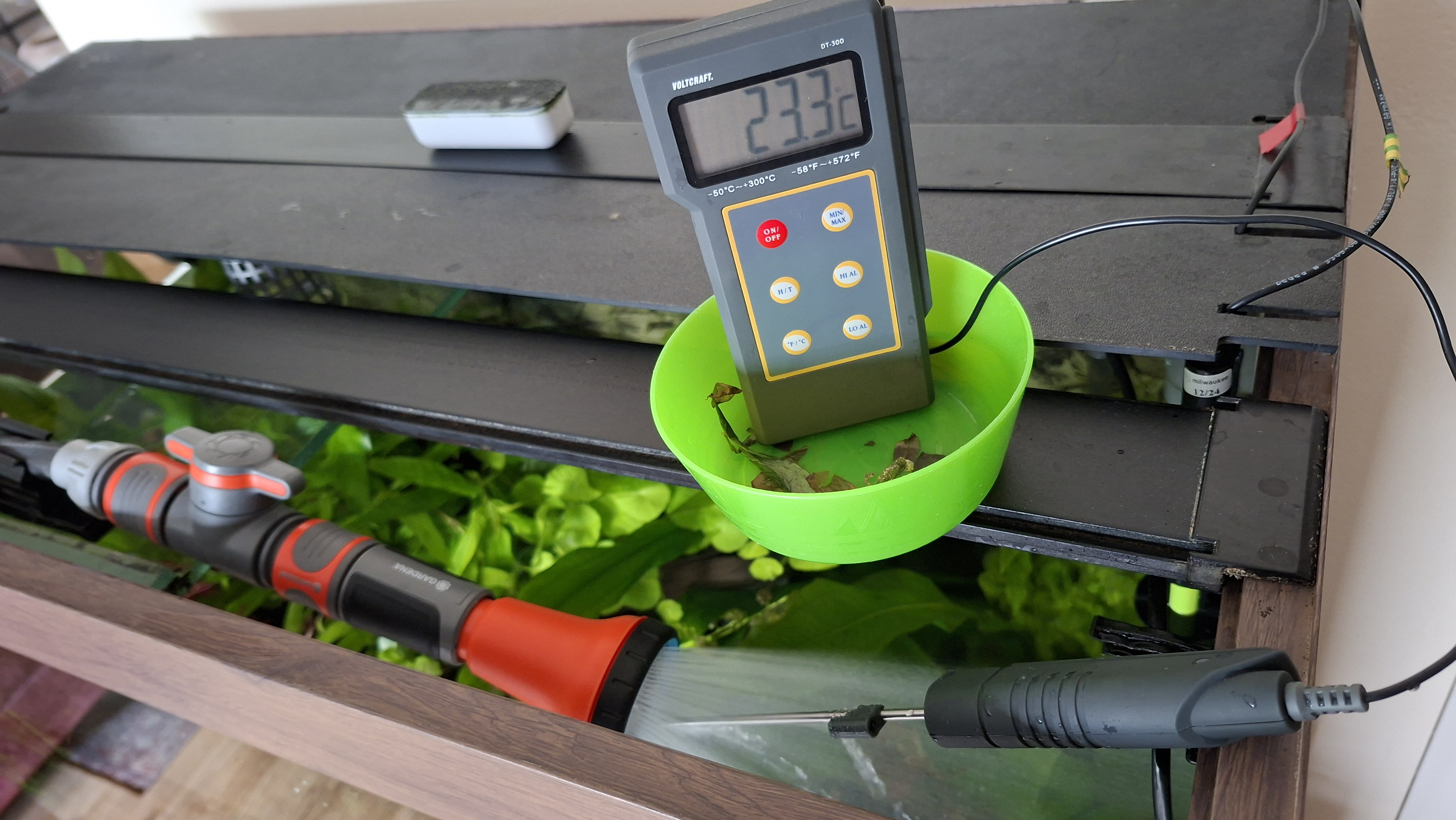 1000031031.jpg