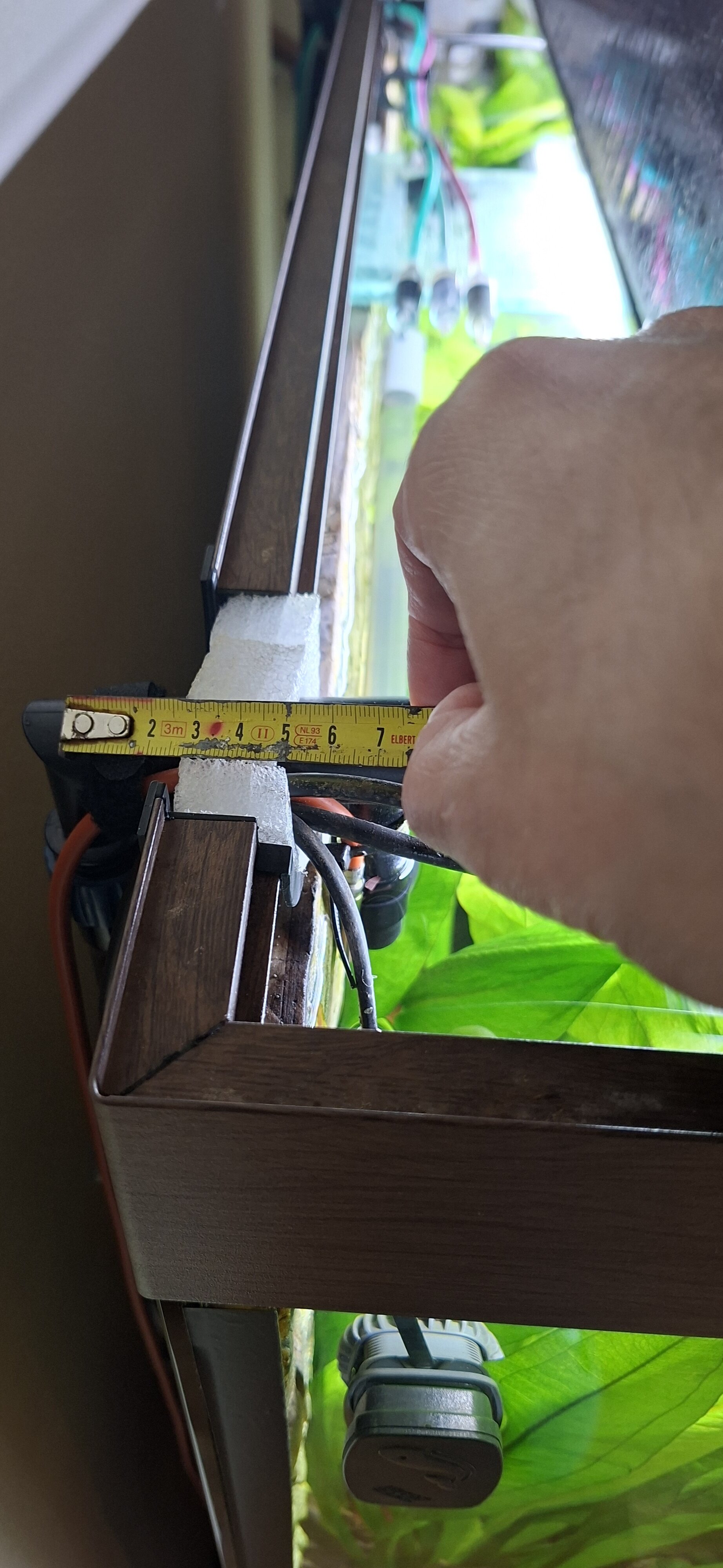 1000032100.jpg