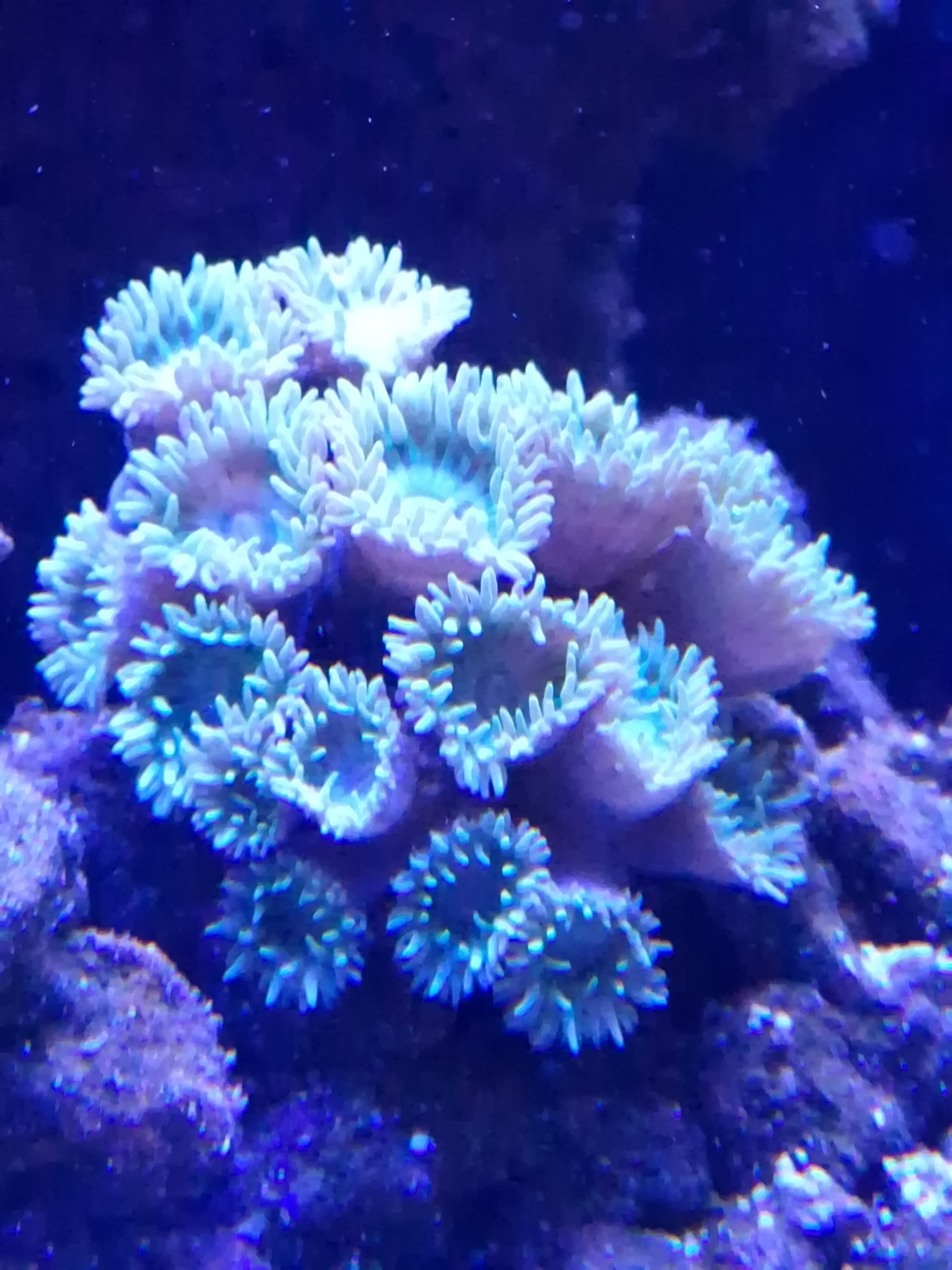 1000040052.jpg
