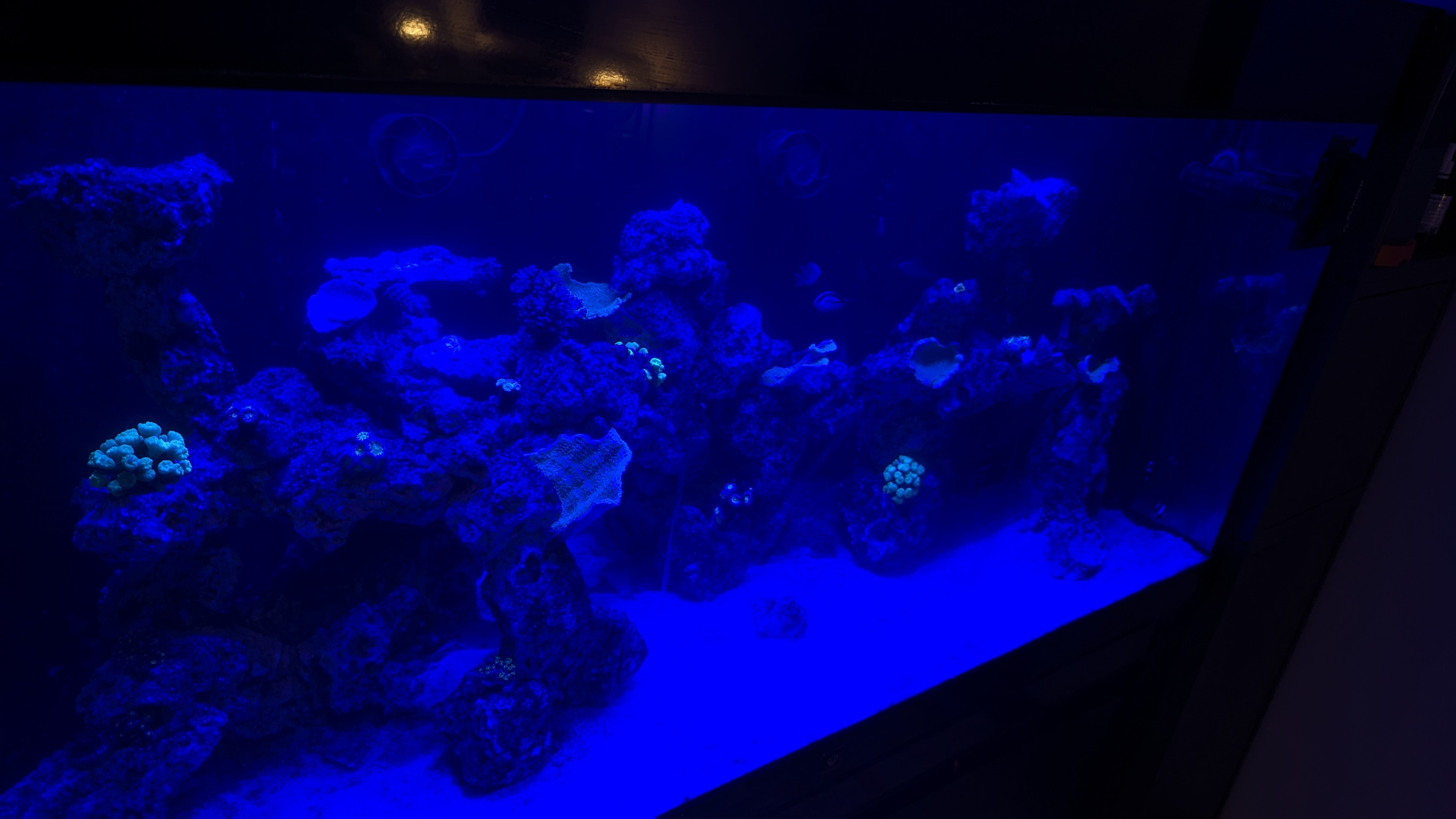 1000161074.jpg