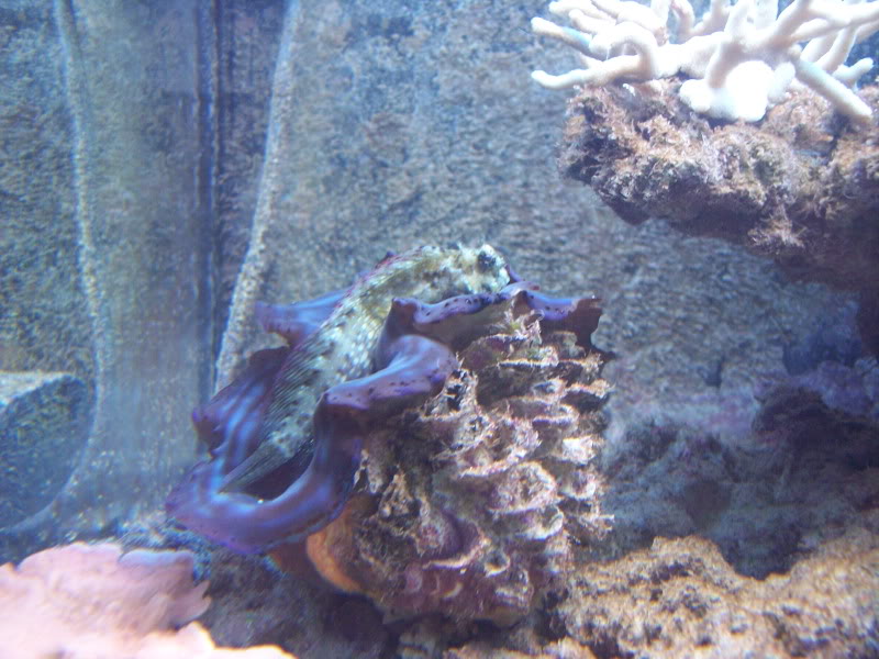 100_8643.jpg