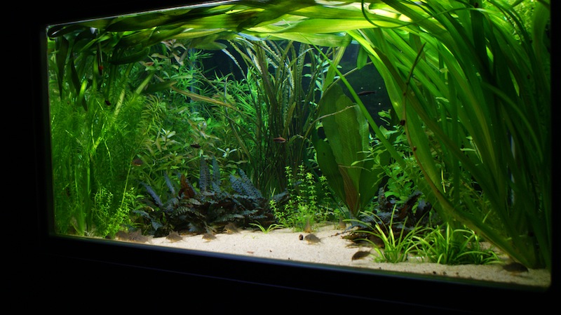 100x70x50.jpg