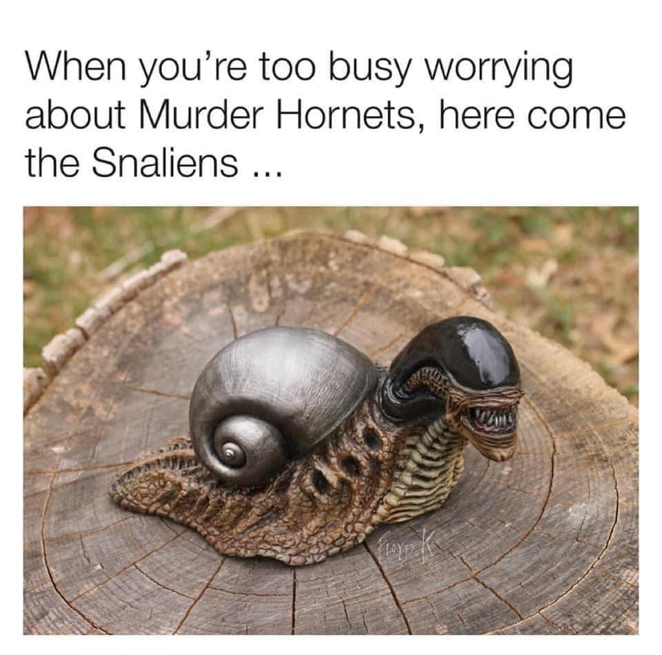 103093118_10156933756881945_1913869046461073059_n.jpg