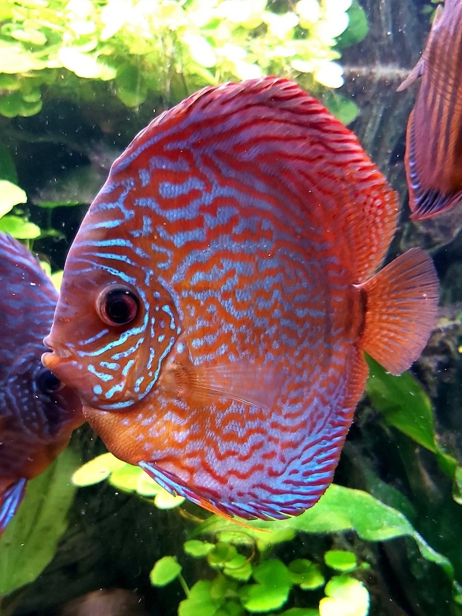 11-7-10.jpg