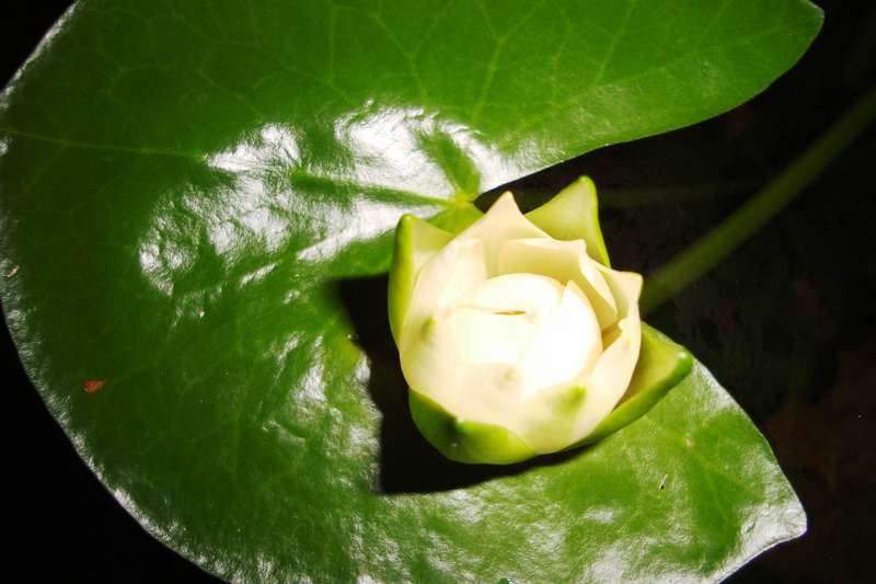 112664_0_82_dsc03938.jpg