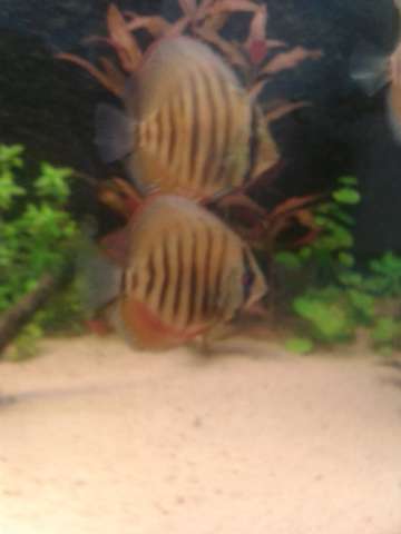 113339_0_82_20140223_16.jpg