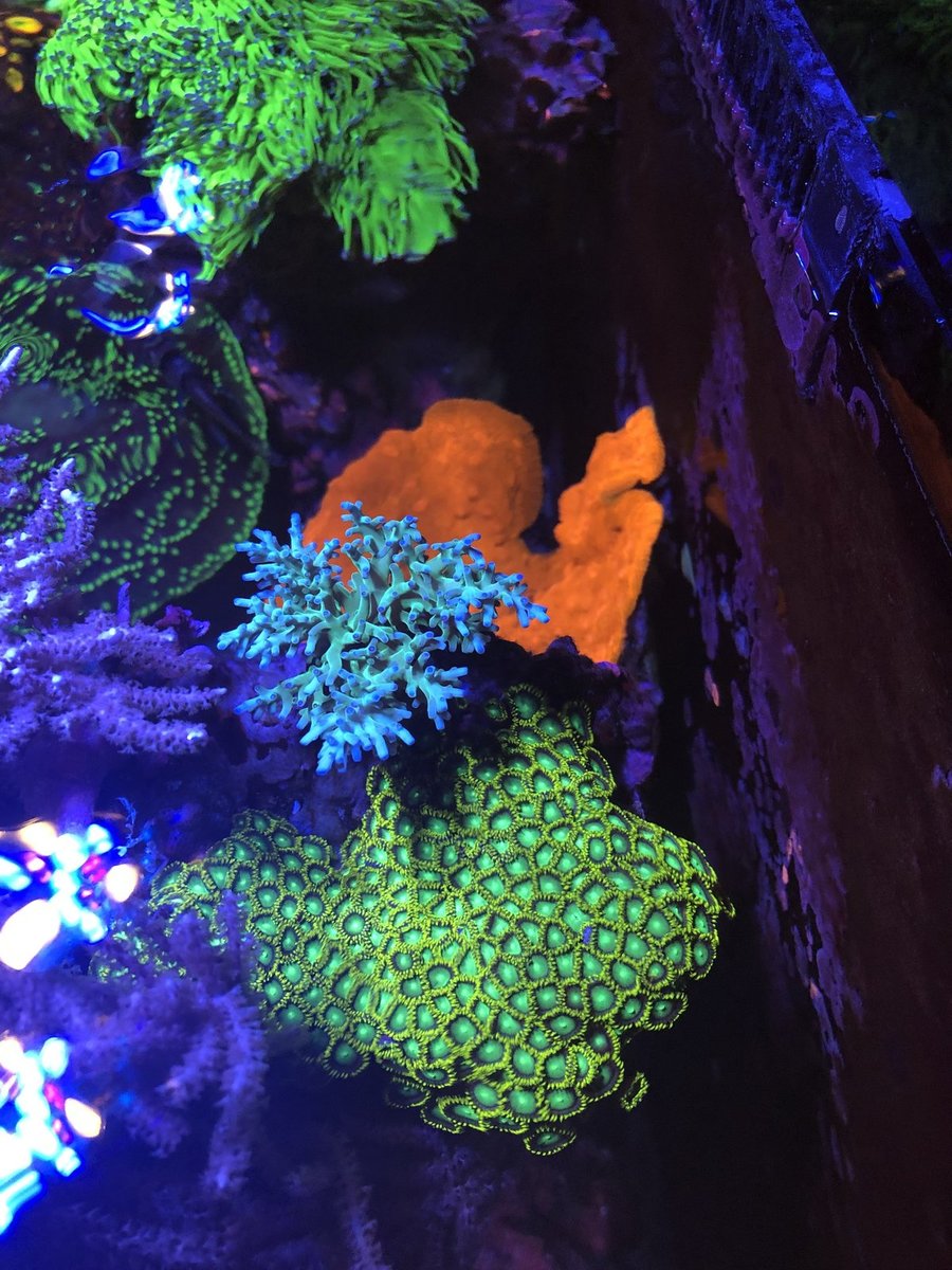 117F5595-6296-424C-851E-ED02D0B09965.jpeg