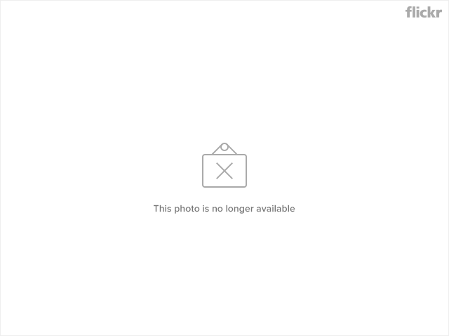 11951735054_44f9e4d925_z.png