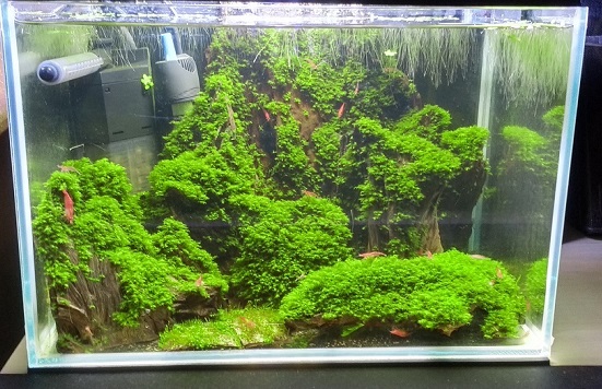 12l.jpg