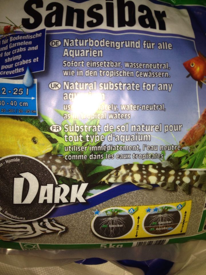13474029_10208857919078893_262735776_n.jpg