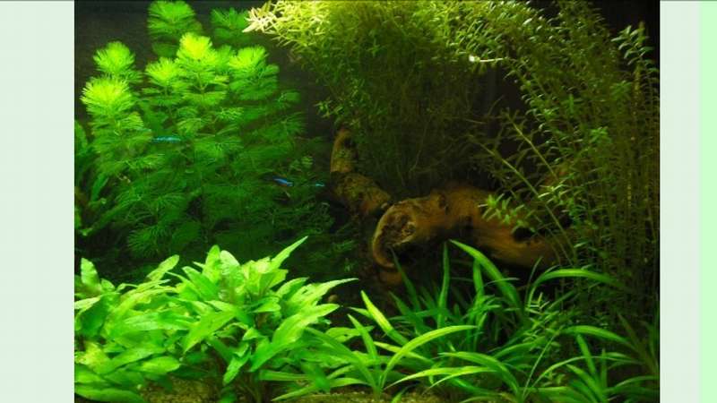 139976_0_82_20160605_12.jpg