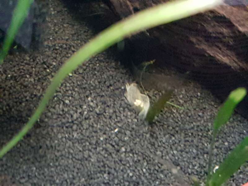 144287_0_82_20160903_1923441.jpg