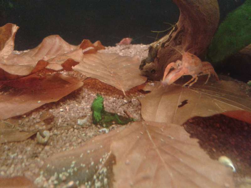 144857_0_82_20140331_111854.jpg
