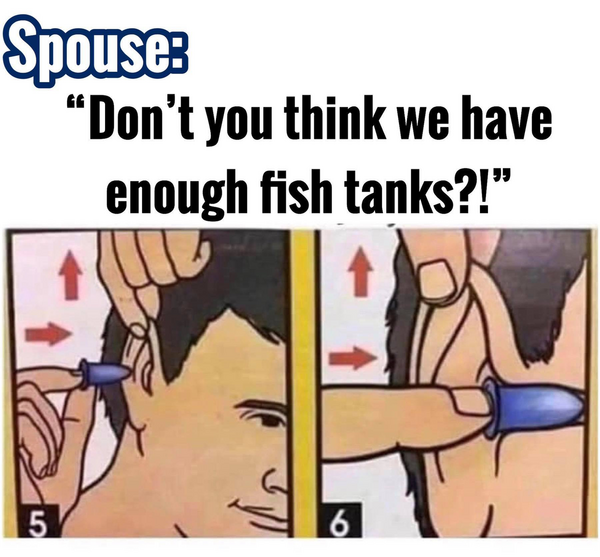 275335