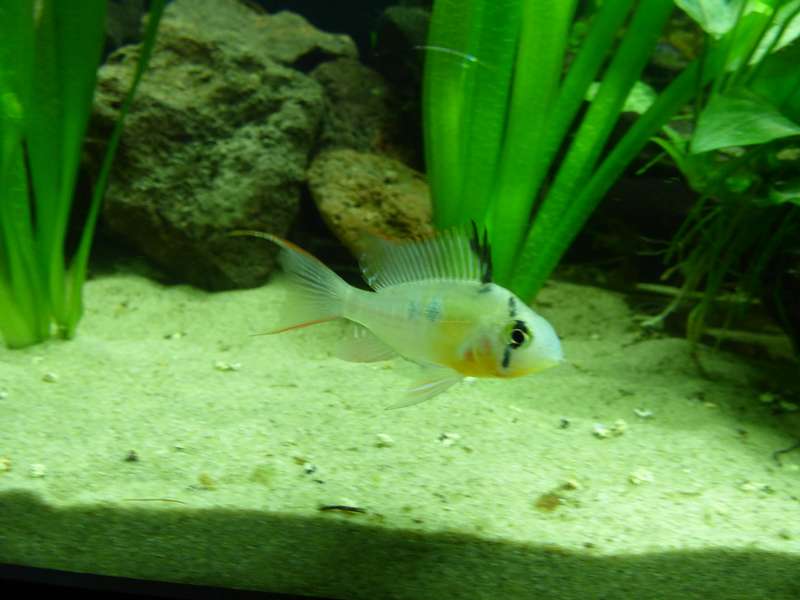 157557_0_82_4.jpg