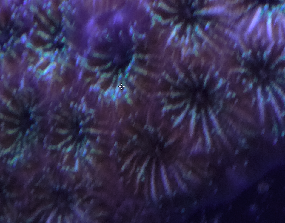 1589500319715.png