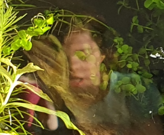 1598964160462.png