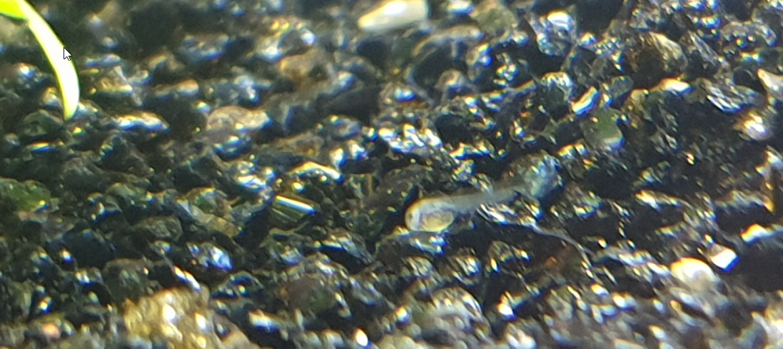 1610371170048.png