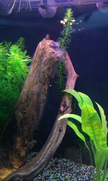 161535_0_82_imag0541.jpg
