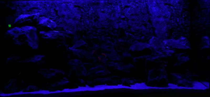 162987_0_82_led_rood.jpg
