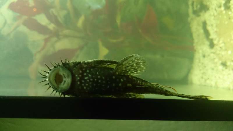 164159chloorvrij_0_82_dsc_0145.jpg