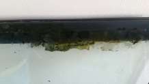 164293_0_82_getattachment_3.jpg