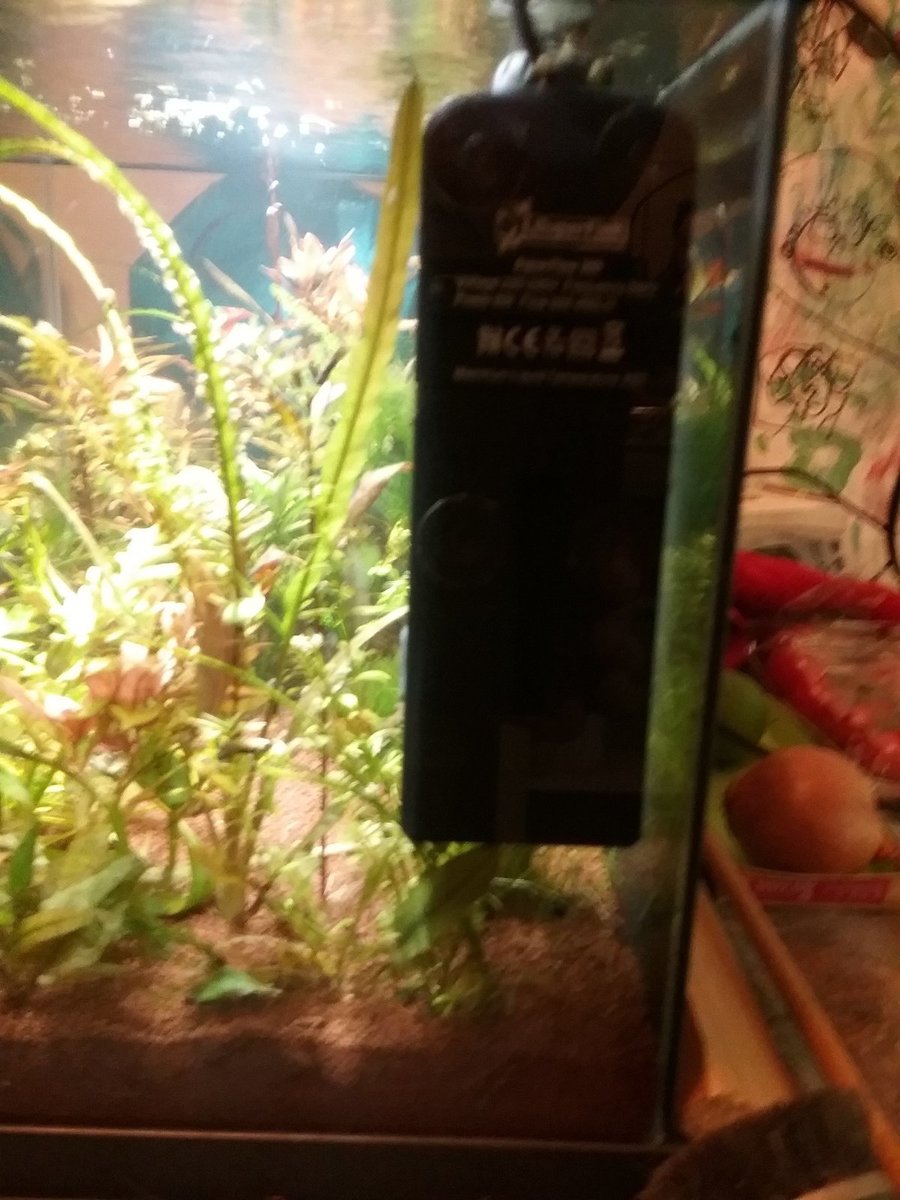 16558149164042113935788.jpg