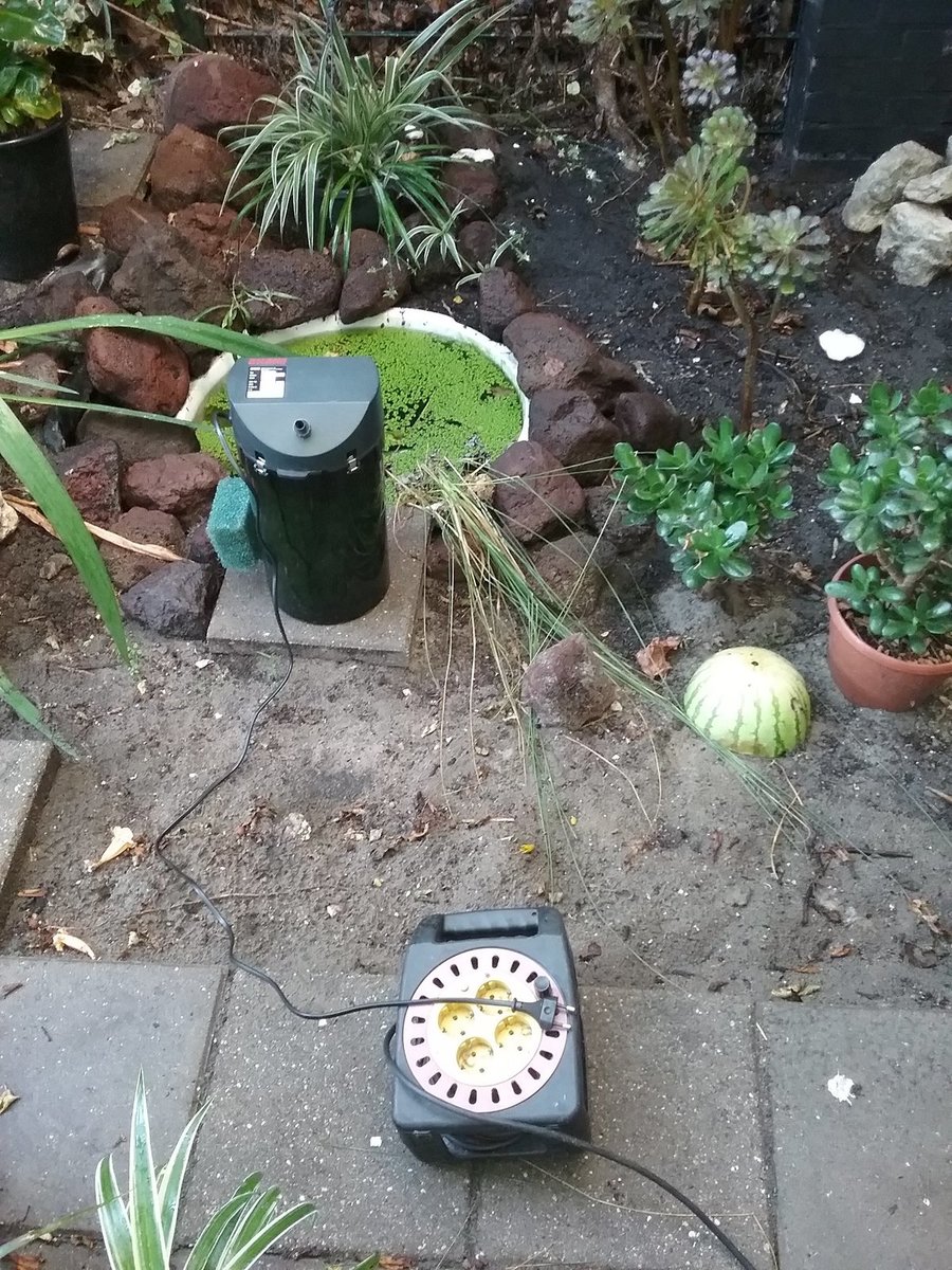 1660061446881610423816.jpg