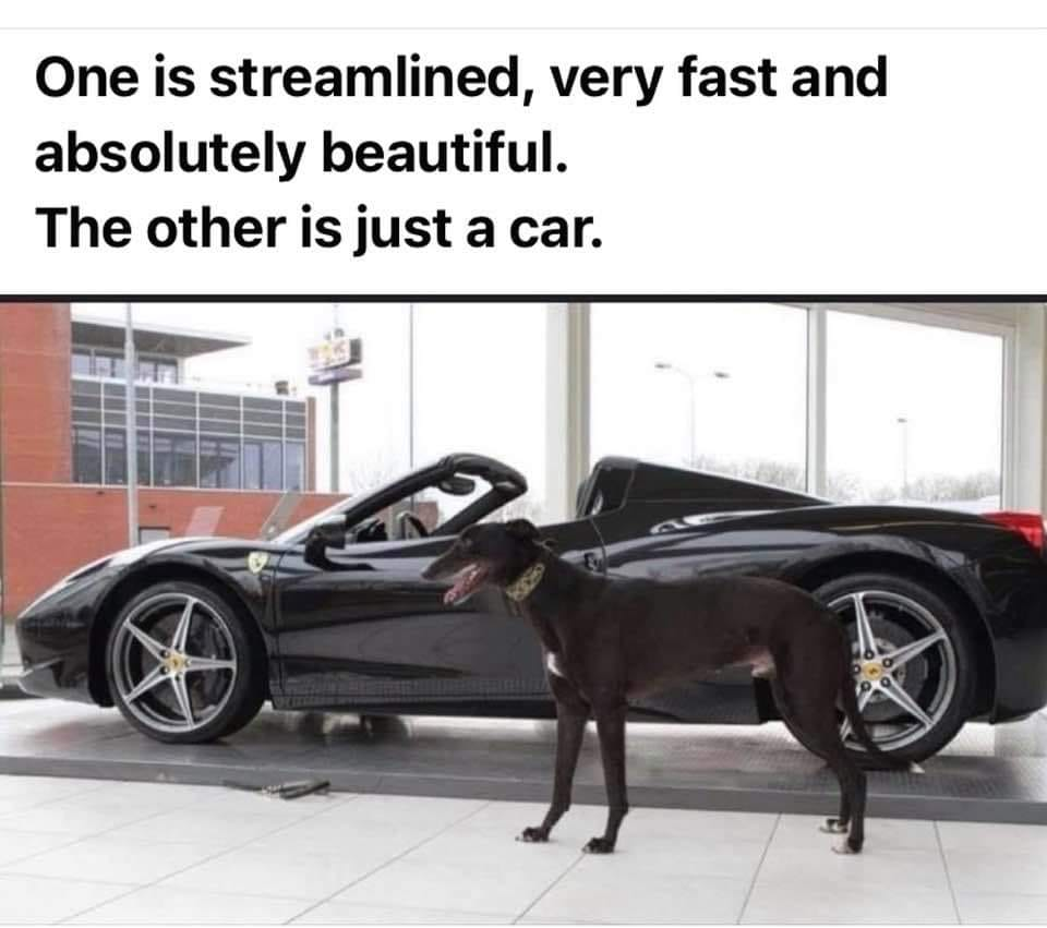 1670077542796.png
