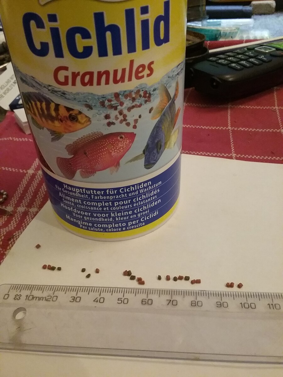 Hoe vaak betta voeren ? AquaForum