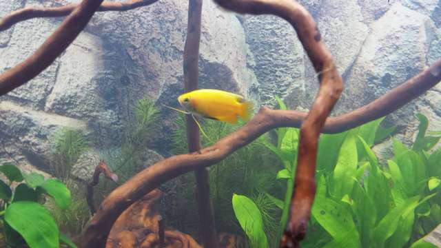 167899_0_82_20140202_203107.jpg