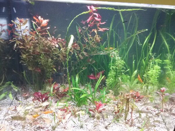 1685967238754944797544.jpg