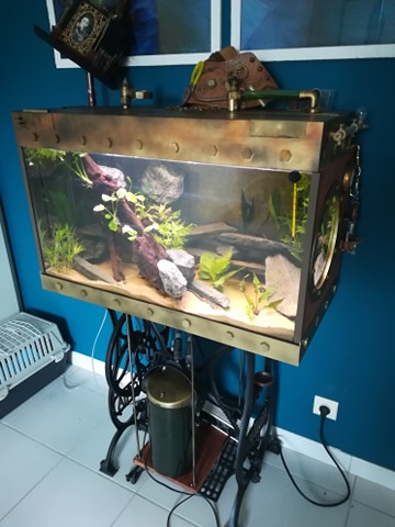 weer eens wat anders: steampunk aquarium (Nopanic) | AquaForum