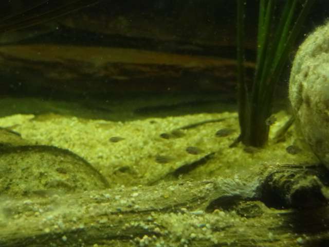 169516_0_82_dsc04711.jpg