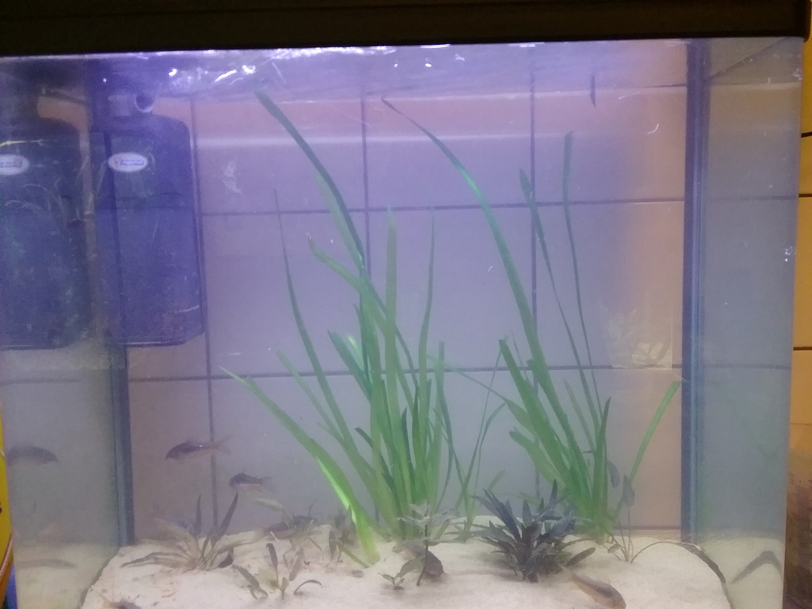 1696243981939680883833.jpg