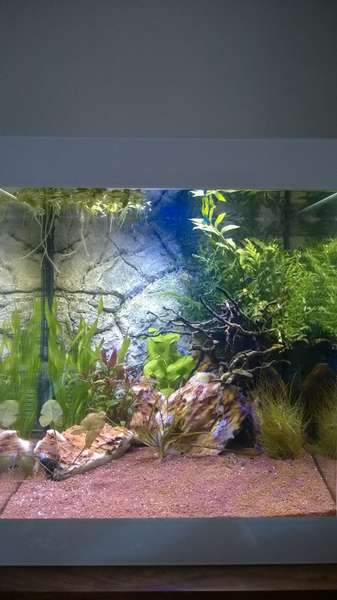 171612_0_82_wp_20150927_002.jpg