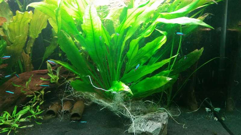 172717_0_82_20140817_13.jpg