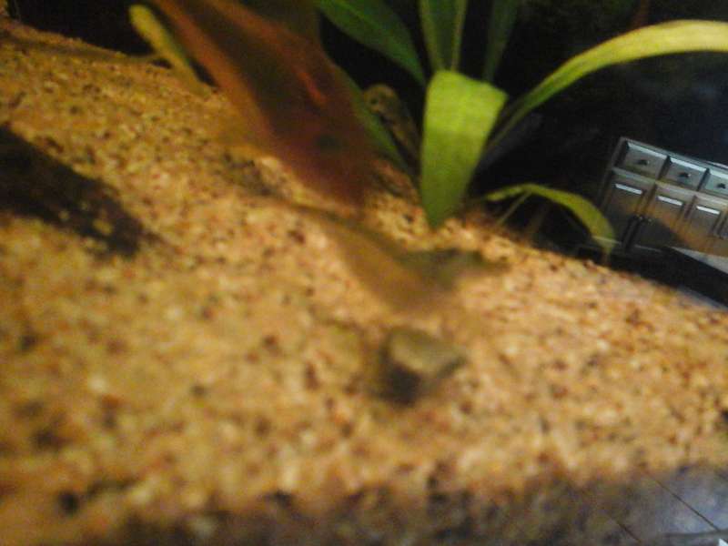 174172_0_82_20140422_201956.jpg