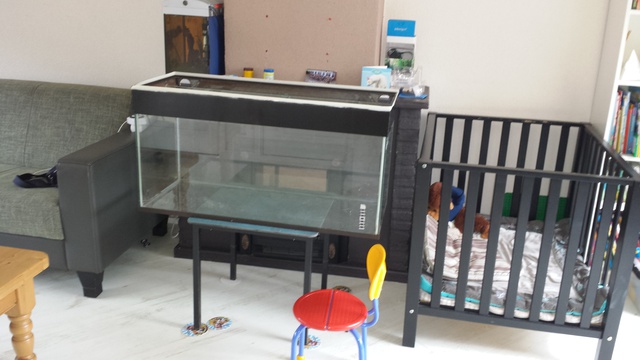 175955susan84_0_85_aquarium_1.jpg