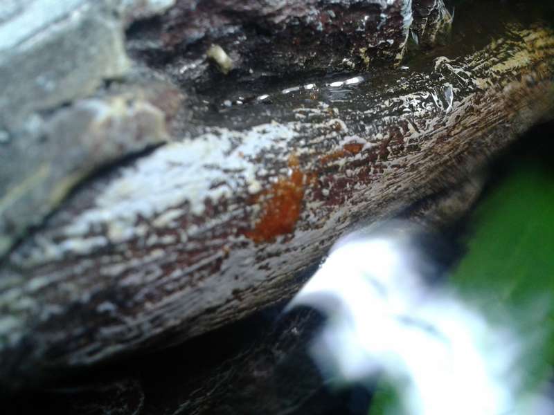 177955_0_82_20140109_173814.jpg