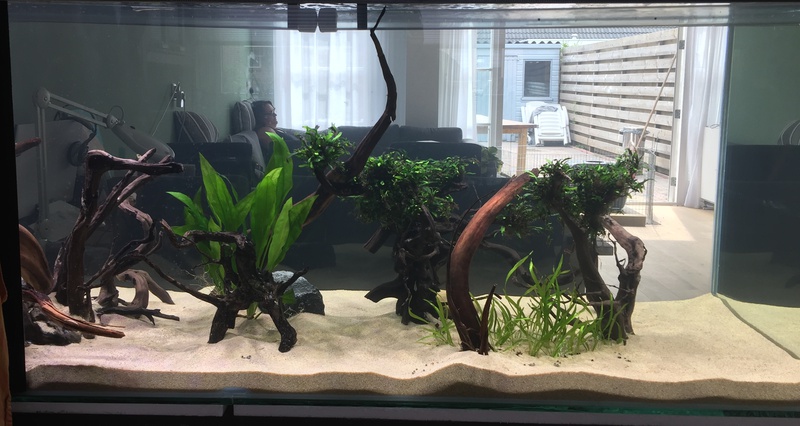 178458tuinkabouter_0_85_guppenbakke.jpg