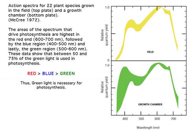178665_0_82_absorption_spectra_light_02.jpg