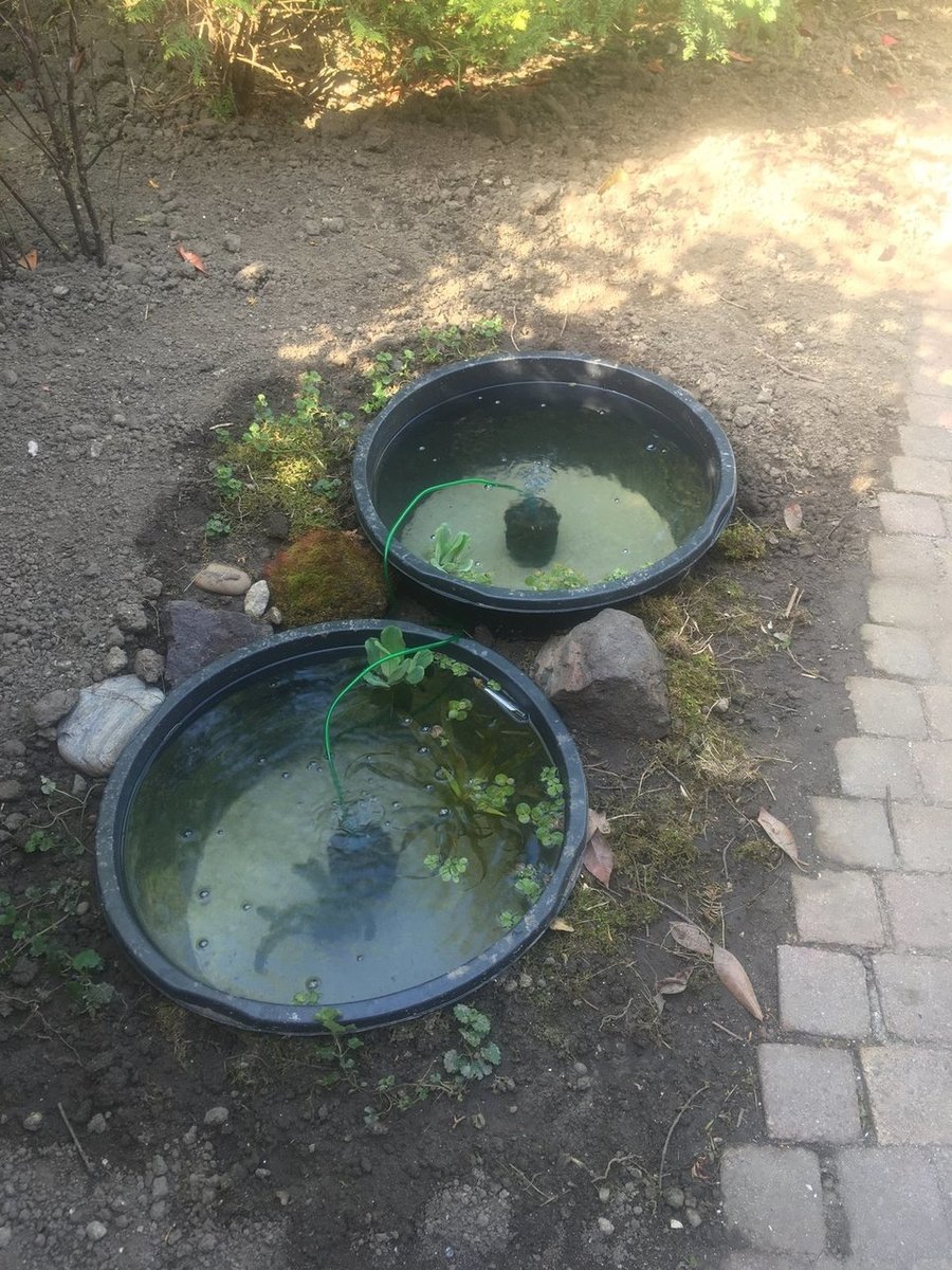 18-05-2020.JPG
